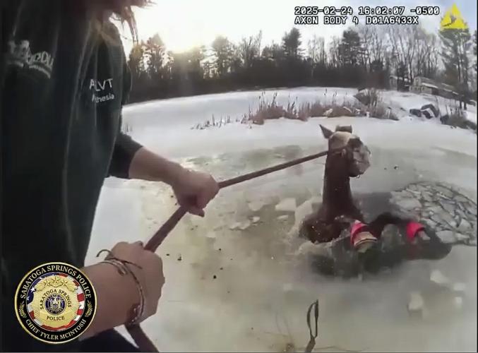 Horse Ice Rescue